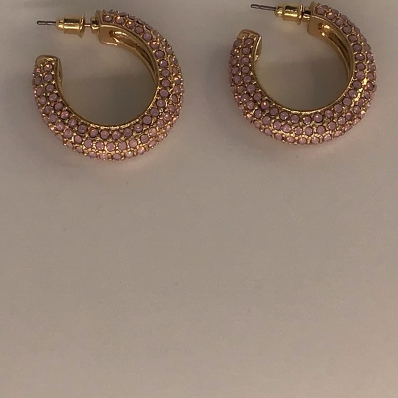 🔥🔥SOLD🔥🔥Rhinestone Embellished Oval Hoop Earrings. Peach Color - Picture 2 of 3